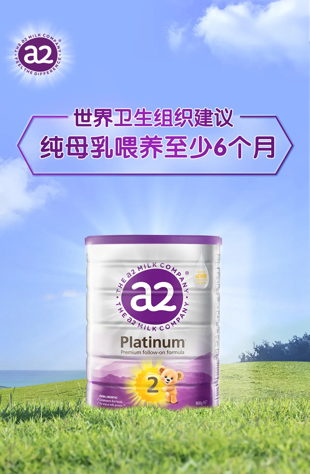 A2白金 2段 详情图 1